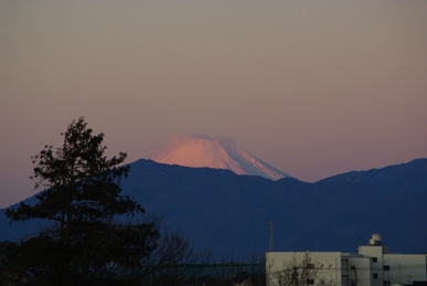 2010年元旦　富士山を望む.JPG