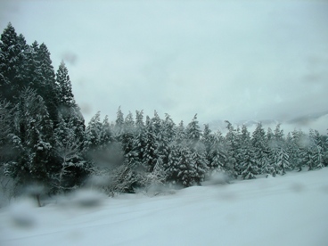雪国の車窓.JPG